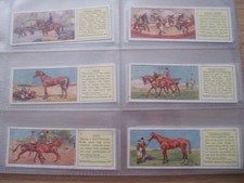 HORSES  1935 Typhoo Tea Cards - Full Set of 25 Cards IN PLASTIC SLEEVES