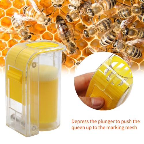 Bee queen marking cage marker - bee,