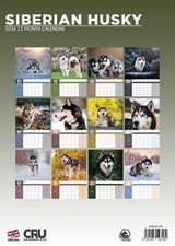 Siberian Husky Dog 2026 A3 Calendar