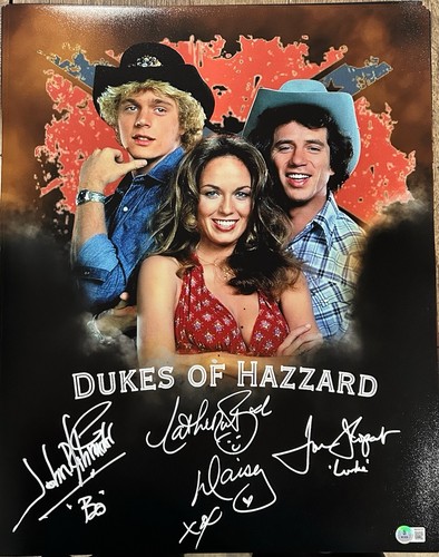 Dukes hazard 16x20 - dukes,
