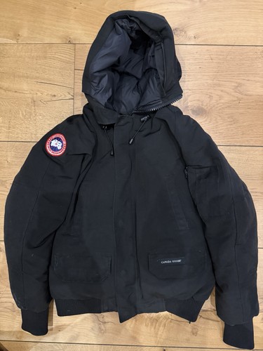 Canada goose chilliwack - goose,