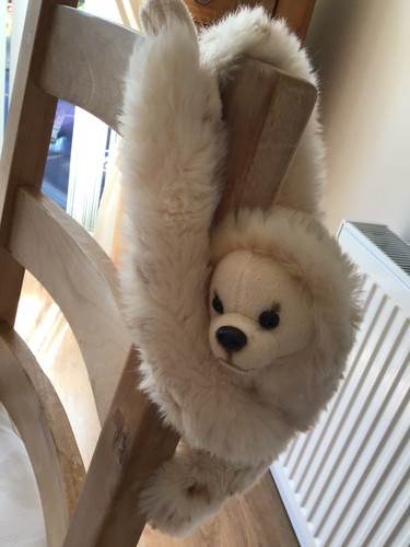 Sloth plus toy - sloth, colour