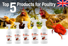 HEN PECKED Red Mite Solution