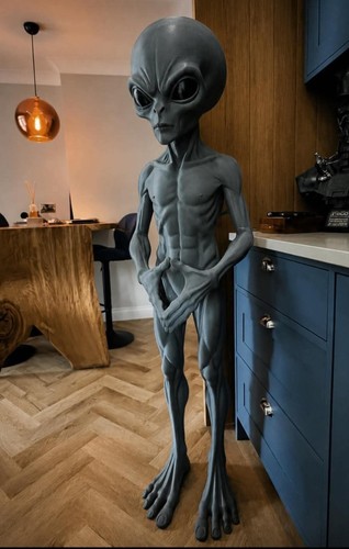 Life size grey alien - life, 5ft