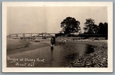 Postcard RPPC c1920s Forest