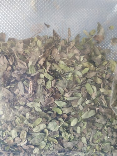 10g dried ewe - 10g, omisimisi