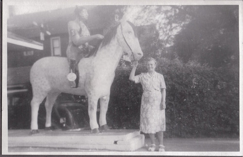 Old photograph indian horse - photograph,