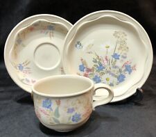 Poole Pottery “Springtime” Vintage Cup Saucer & Tea Plate Trio