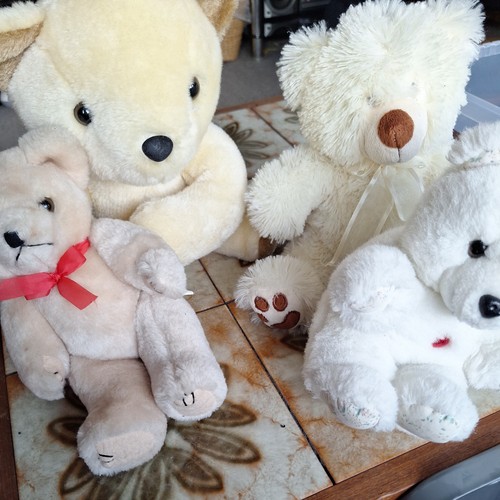 Selection cream white - selection, teddy
