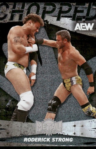 2025 skybox metal universe - universe, aew