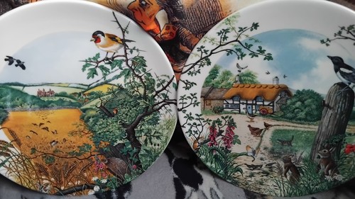 Collectable plates colin - plates,