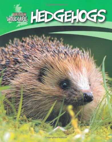 Hedgehogs british - hedgehogs, (british