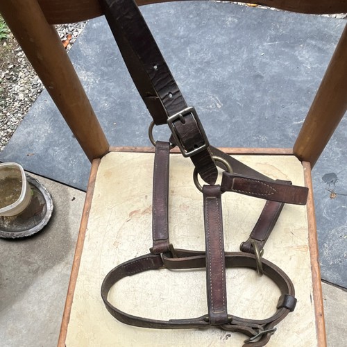 Brown leather western horse - leather,