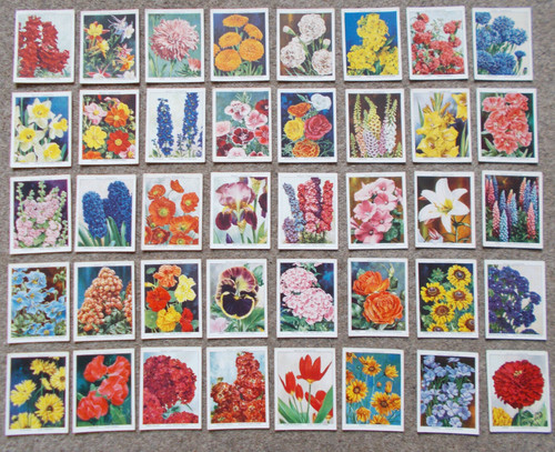 Cigarette cards will - cigarette, will's
