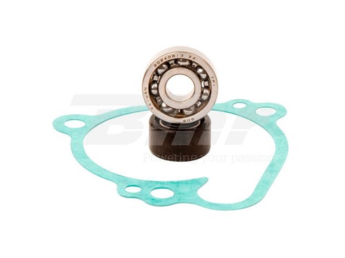 46101 water pump - 46101, overhaul