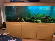 7ft Fish tank with cabinet, filter and top up fish tank