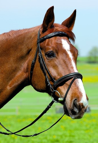 Kieffer comfort snaffle - comfort, i