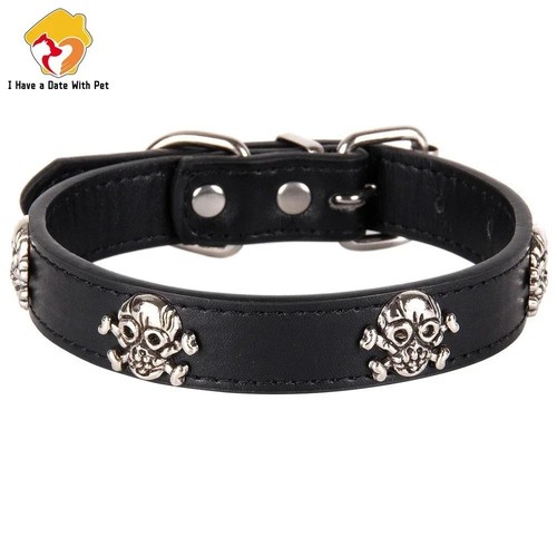 Skull dog collar leather style - collar, leather-style