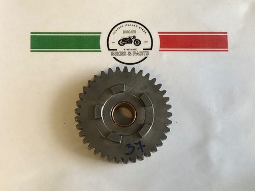 Ducati bevel single wide - ducati,