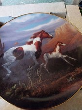 Hamilton Collection Plate Desert Shadowd