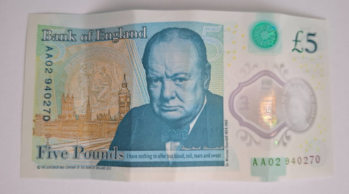 Five pound polymer bank - polymer,