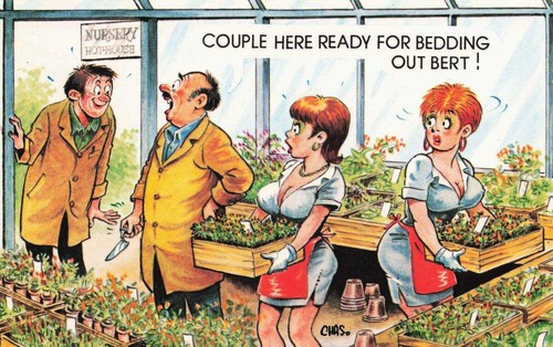 Comic saucy seaside postcard - seaside,