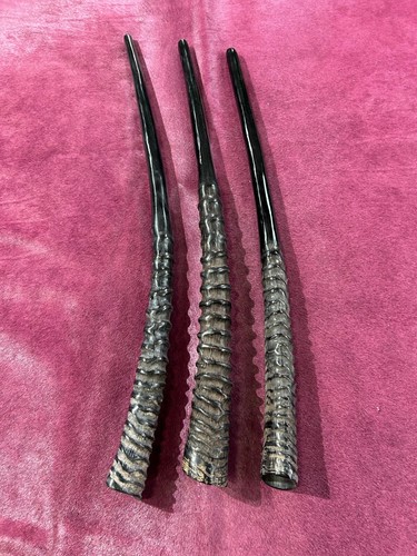 Oryx shofar kosher made - oryx,