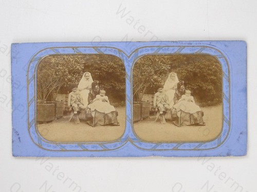 Fraget viret family group - family,