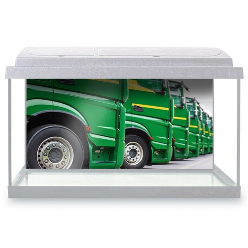 Fish tank background 90x45cm - fish,