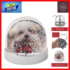 Decorative snow globe - decorative,