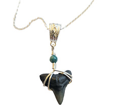 Gorgeous Fossil Bull Shark