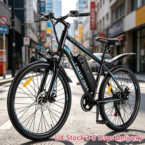 City bike electric - e-bike,