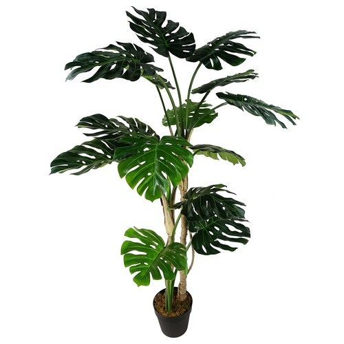 150cm luxury monstera - (5ft),
