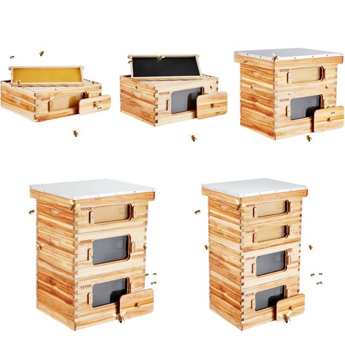 Bee hive langstroth deep - bee,