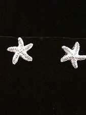 Silvery, Glittery Starfish