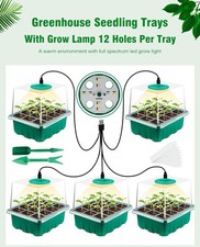 Seed trays propagator - propagator, with