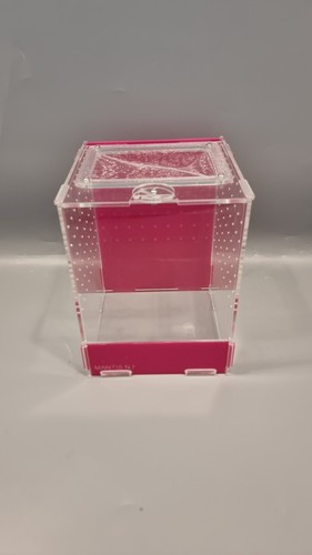 Praying mantis enclosure - praying,