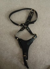 Medium Brown Leather Dog