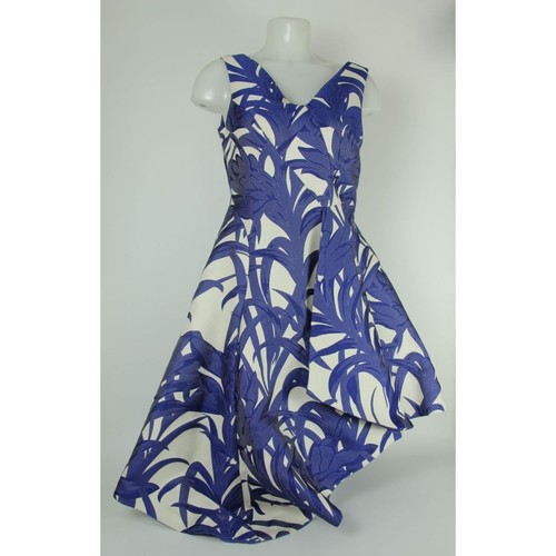 Coast blue palm - coast,