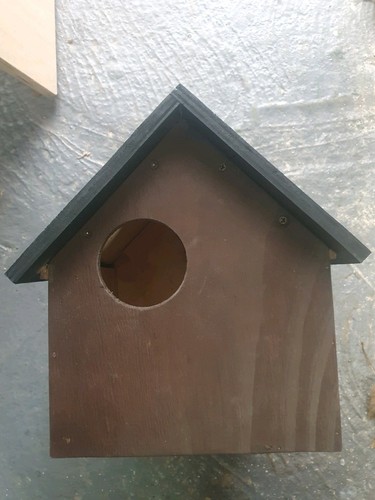 Squirrel house - squirrel,