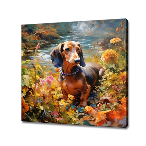 Dachshund dog puppy colourful - dachshund,