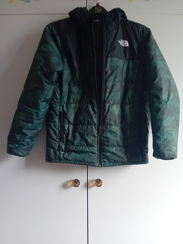 The north face boys green - north,