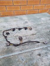 Honda Cbr 600 F4i Fuel Injection/throttle Body Wiring Loom/harness (2002)