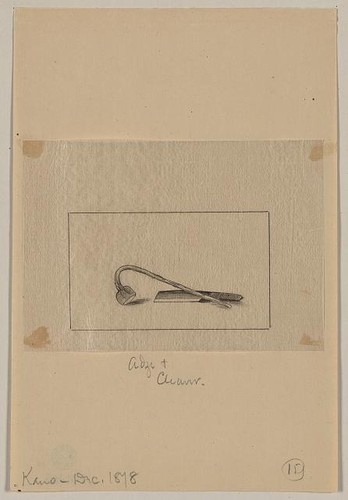 Photo japan 1878 - 1878, adze