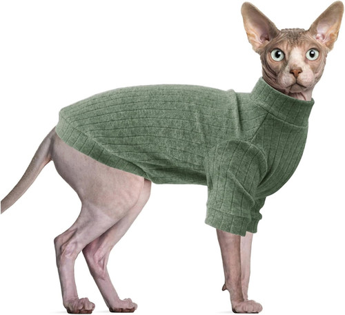 Sphynx cat clothes hairless - sphynx, clothes,