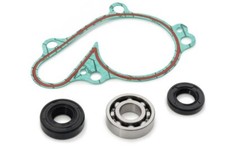 AS3 WATER PUMP REPAIR KIT for