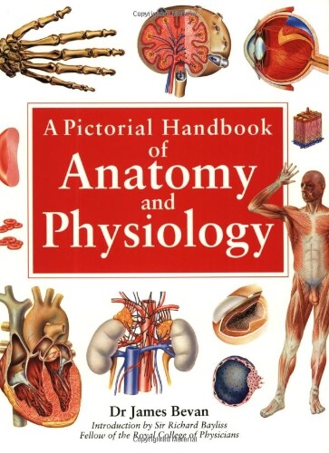 Pictorial handbook of - a,