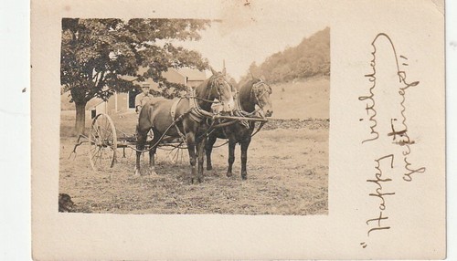 Walton rppc horse - walton, ny