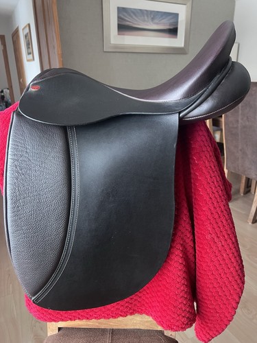 Kes kensington equestrian - kes,