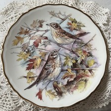 Royal Albert Collector Plate Garden Bird's NO 1 -THRUSH- 1989